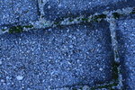 IMG_3241_resize