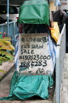 IMG_6656_resize