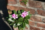 IMG_7212_resize