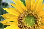 IMG_7269_R_resize