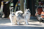 IMG_8637_resize