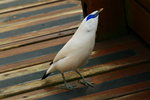 IMG_4603_C_resize