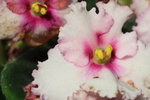 IMG_8926_resize