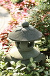 IMG_5491_resize