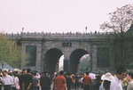F1160022_resize