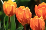 IMG_2164_resize