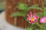 IMG_4788_resize
