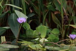 IMG_4791_resize