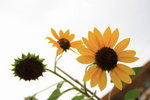 IMG_4817_resize
