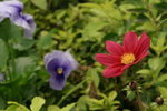 IMG_4835_resize