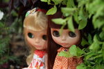 IMG_4845_resize