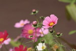 IMG_4846_resize