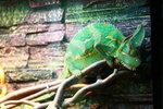 IMG_9791_resize