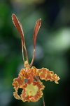 IMG_8614_resize