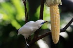 IMG_8638_resize