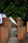 IMG_8647_resize