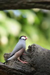 IMG_8671_resize