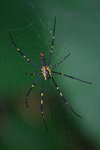 IMG_8447_resize