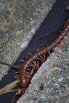IMG_8470_resize
