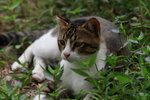 IMG_8493_resize
