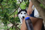 IMG_8522_resize