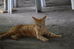 IMG_8526_resize