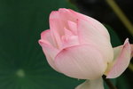 IMG_8368_resize