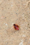 IMG_8373_resize