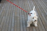 IMG_0458_resize