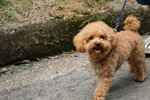 IMG_0865_resize