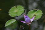 IMG_0628_resize