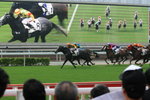 IMG_0806_resize