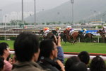 IMG_0809_resize