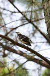 IMG_1473_resize
