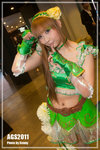 14_AGS2011