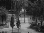 PHOT0594