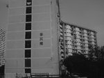 PHOT0595