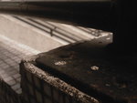 PHOT0597
