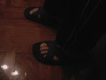 PHOT0517