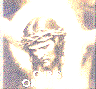 �ƻs -christ in cross