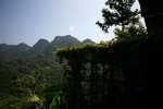 IMG_3696