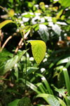 IMG_3736