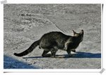 IMG_3592