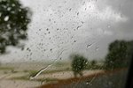 IMG_9208