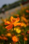 IMG_0781