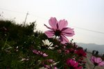 IMG_0853