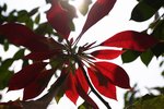 CRW_0267