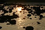 IMG_8956