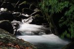IMG_0440