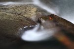 IMG_0444